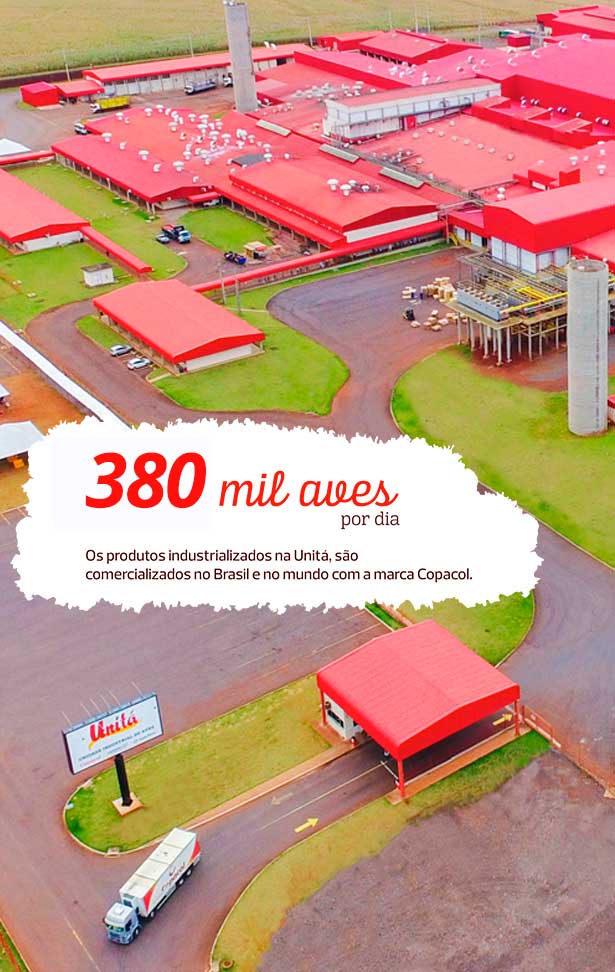 Unit� - 380 mil aves por dia